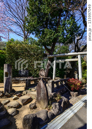 護国寺 音羽富士塚(富士塚) 護国寺 音羽富士塚(富士塚) 133997049