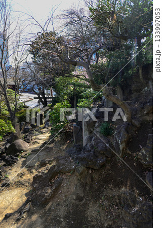 護国寺　音羽富士塚（富士塚） 133997053