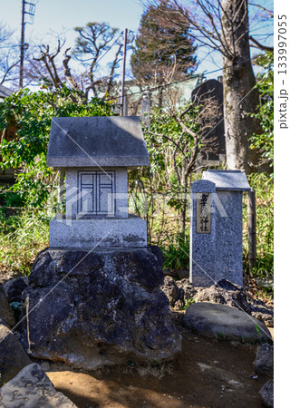 護国寺　音羽富士塚（富士塚） 133997055