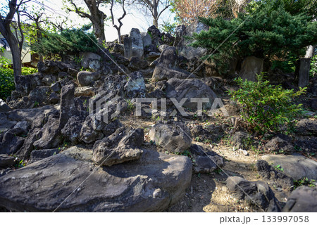 護国寺 音羽富士塚(富士塚) 護国寺 音羽富士塚(富士塚) 133997058
