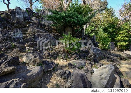 護国寺　音羽富士塚（富士塚） 133997059