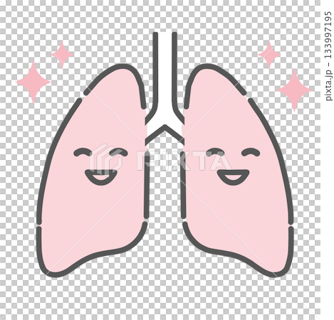 健康で元気な肺のキャラクターイラスト(正常な呼吸機能) 健康で元気な肺のキャラクターイラスト(正常な呼吸機能) 133997195