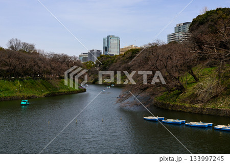 千鳥ヶ淵の桜 千鳥ヶ淵の桜 133997245