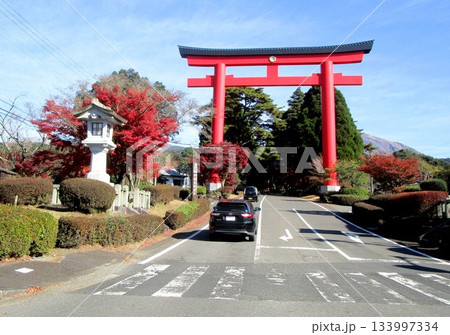 霧島錦江湾国立公園の紅葉 133997334