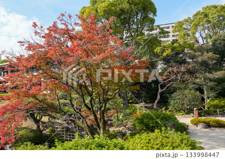 神戸市立相楽園（日本庭園と洋館のある穴場スポット） 133998447