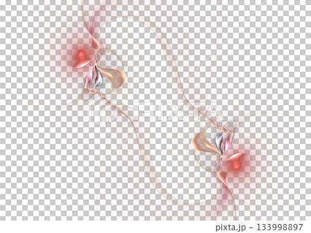 カラー(collar)の文様② 133998897