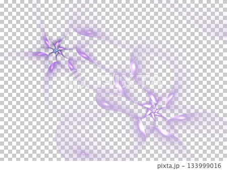 領型② 133999016