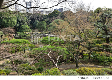 旧古河庭園 日本庭園 旧古河庭園 日本庭園 133999028