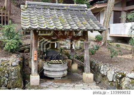 京都 松尾大社 亀の井 京都 松尾大社 亀の井 133999032