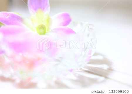 水に浮かぶ花びら 水に浮かぶ花びら 133999100