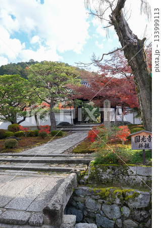 京都・一乗寺にある瑞巌山・圓光寺（開基：徳川家康公）2025年秋撮影 133999113
