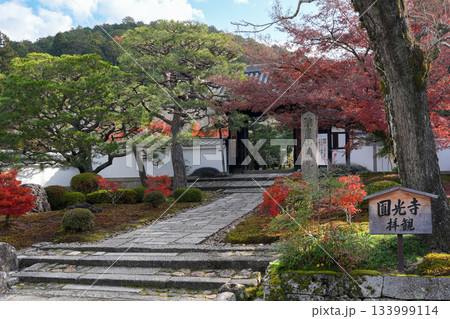 京都・一乗寺にある瑞巌山・圓光寺（開基：徳川家康公）2025年秋撮影 133999114