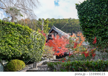京都・一乗寺にある瑞巌山・圓光寺（開基：徳川家康公）2025年秋撮影 133999115