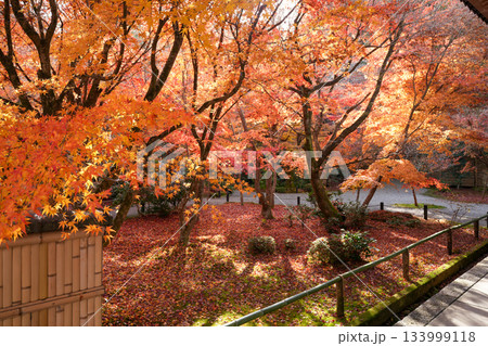 京都・一乗寺にある瑞巌山・圓光寺(開基:徳川家康公)2025年秋撮影 京都・一乗寺にある瑞巌山・圓光寺(開基:徳川家康公)2025年秋撮影 133999118