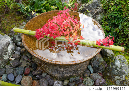 京都・一乗寺にある瑞巌山・圓光寺(開基:徳川家康公)2025年秋撮影 京都・一乗寺にある瑞巌山・圓光寺(開基:徳川家康公)2025年秋撮影 133999123