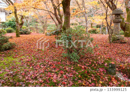 京都・一乗寺にある瑞巌山・圓光寺(開基:徳川家康公)2025年秋撮影 京都・一乗寺にある瑞巌山・圓光寺(開基:徳川家康公)2025年秋撮影 133999125