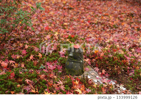 京都・一乗寺にある瑞巌山・圓光寺(開基:徳川家康公)2025年秋撮影 京都・一乗寺にある瑞巌山・圓光寺(開基:徳川家康公)2025年秋撮影 133999126