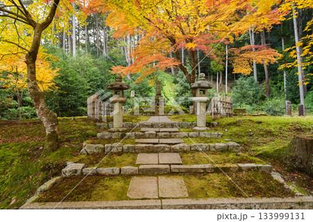 京都・一乗寺にある瑞巌山・圓光寺（開基：徳川家康公）2025年秋撮影 133999131