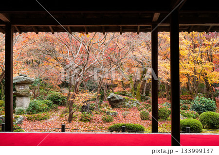 京都・一乗寺にある瑞巌山・圓光寺（開基：徳川家康公）2025年秋撮影 133999137