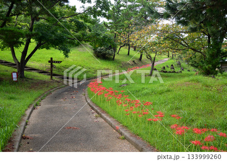五島の旅・白良ヶ浜万葉公園　＃12 133999260