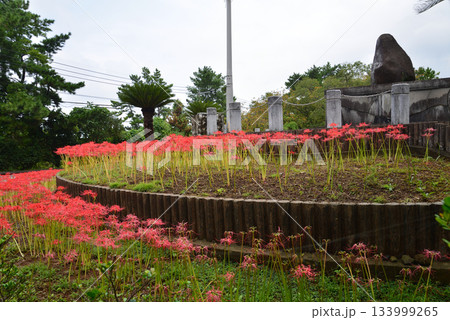 五島の旅・白良ヶ浜万葉公園　＃17 133999265