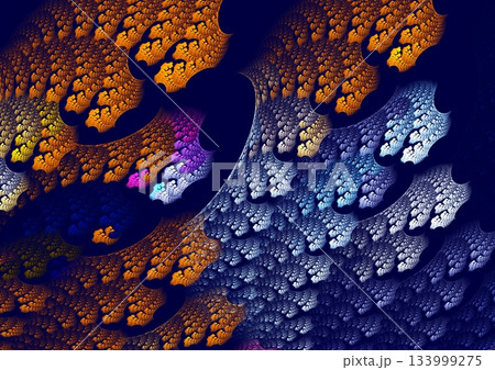 虹の紋様 133999275