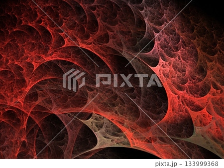 虹の紋様 133999368