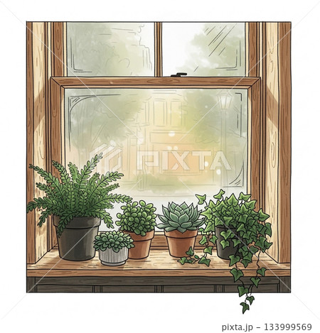 窓に飾られた観葉植物 133999569