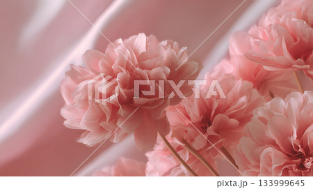 ピンクの花 ペーパーフラワー シルク調 背景 柔らかい 光 133999645