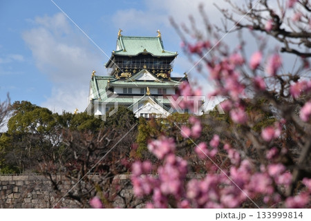 大阪城の梅 133999814