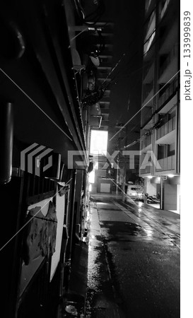 街灯が照らす夜の路地裏(モノクロ) 街灯が照らす夜の路地裏(モノクロ) 133999839