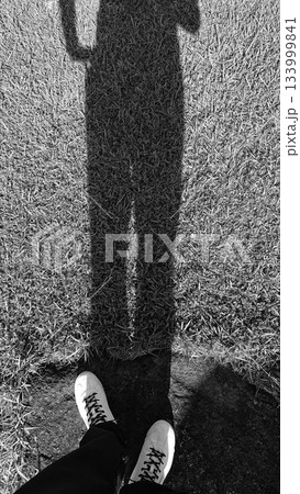 芝生に映る長い影とスニーカー（モノクロ） 133999841