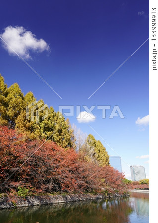 紅葉した木と青空 大阪城遠望 133999913