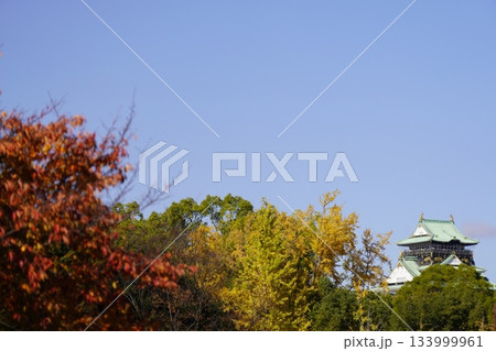 紅葉した木と青空 大阪城遠望 133999961