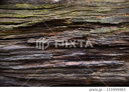Rustic Weathered Wood Texture With Deep Grooves And Natural Layered Grain Pattern 133999965