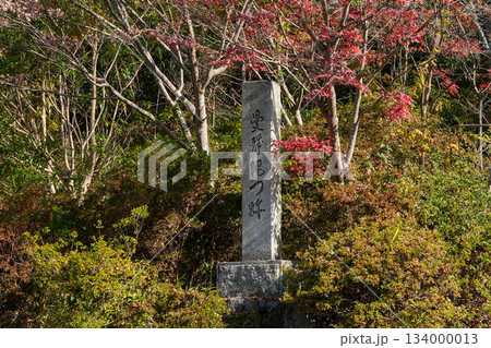 京都・一条寺にある曼殊院門跡(2025年12月撮影) 京都・一条寺にある曼殊院門跡(2025年12月撮影) 134000013