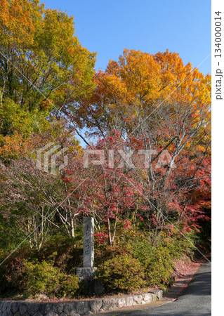 京都・一条寺にある曼殊院門跡（2025年12月撮影） 134000014