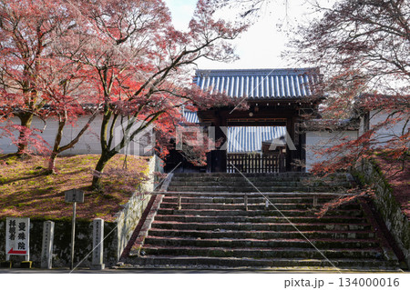 京都・一条寺にある曼殊院門跡（2025年12月撮影） 134000016