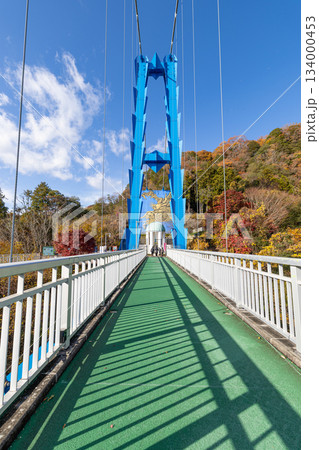 竜神大吊橋 134000453