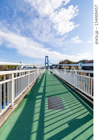 竜神大吊橋 134000457