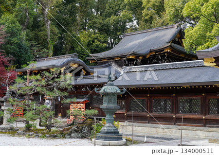 京都市北区紫野の今宮神社 京都市北区紫野の今宮神社 134000511