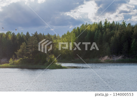 Serene landscape featuring a tranquil lake surrounded by lush green forests under a dramatic sky. Perfect for nature lovers and outdoor enthusiasts 134000553