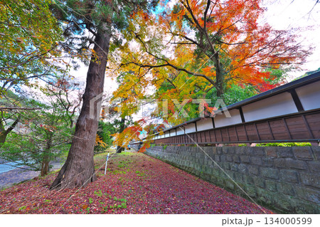 秋の妙法華寺 134000599