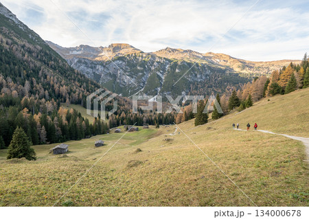 Summer time at romantic forest Lake Obernberg scenic mountain lakes landscape in Austria, Tyrol Summer time at romantic forest Lake Obernberg scenic mountain lakes landscape in Austria, Tyrol 134000678