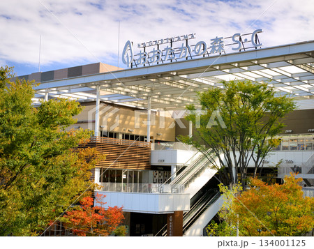 流山おおたかの森S.C 千葉県 流山おおたかの森S.C 千葉県 134001125