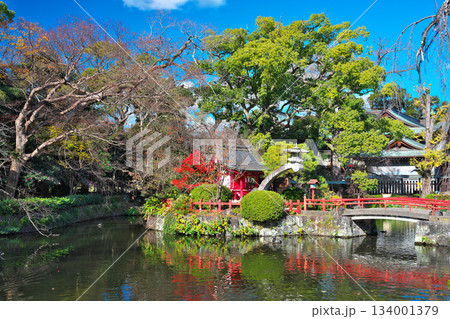 三嶋大社の神池と厳島神社 134001379