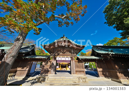 三嶋大社神門 三嶋大社神門 134001383
