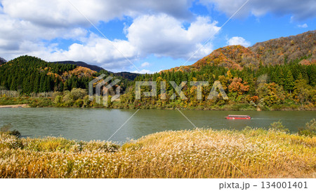 晩秋の最上川 静かに下る観光船 山形県 晩秋の最上川 静かに下る観光船 山形県 134001401