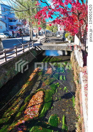 三島水辺の文学碑 三島水辺の文学碑 134001420