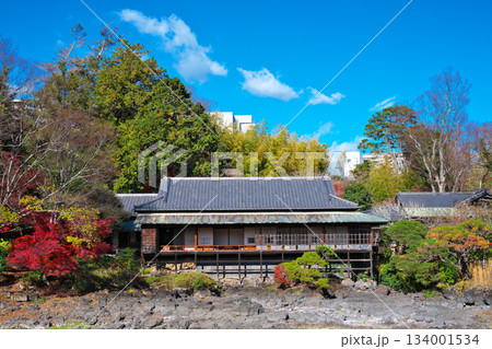 秋の楽寿園 134001534